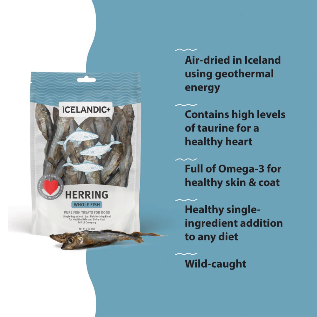 Icelandic+ Herring Whole Fish Treats