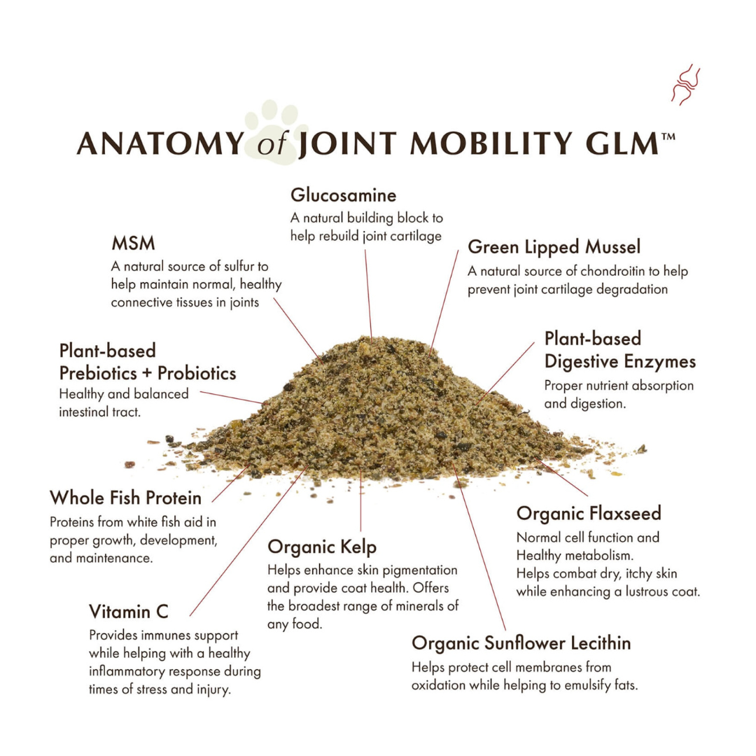 Wholistic Pet Organics Joint Mobility GLM | Multivitamin + Joint Support + Green Lipped Mussels