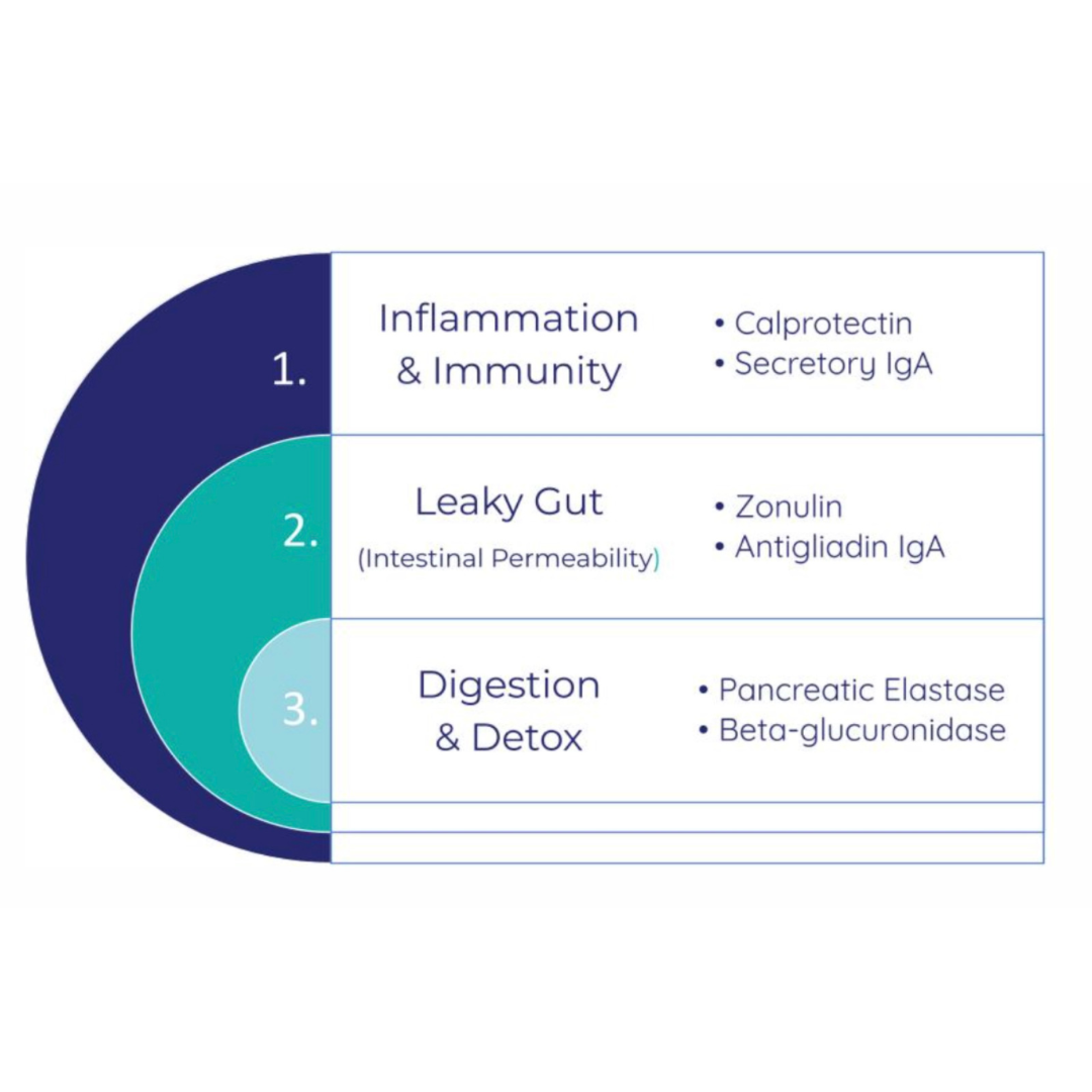 Innovative Pet Lab Comprehensive Review Test | At-Home Dog Health Testing