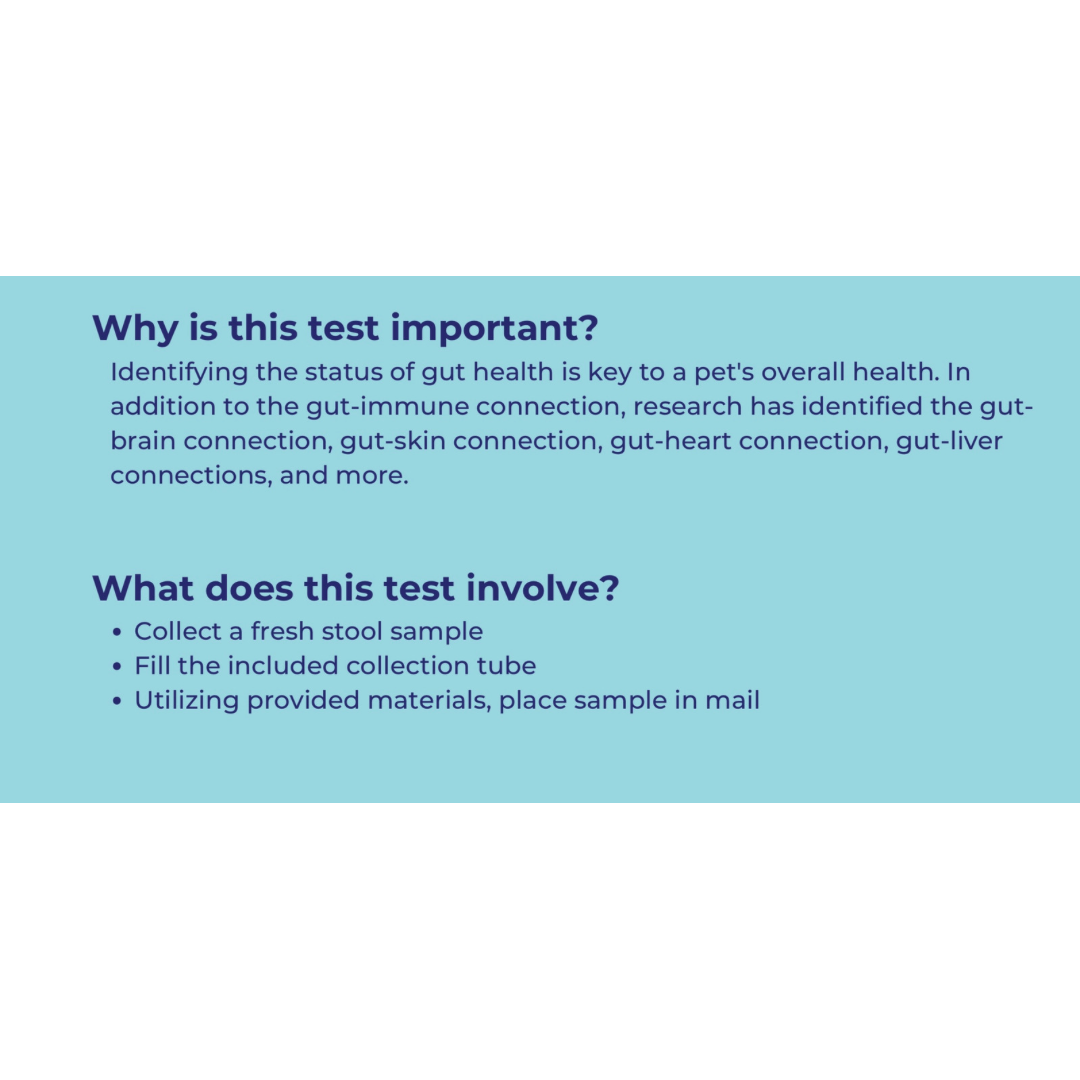 Innovative Pet Lab Comprehensive Review Test | At-Home Dog Health Testing