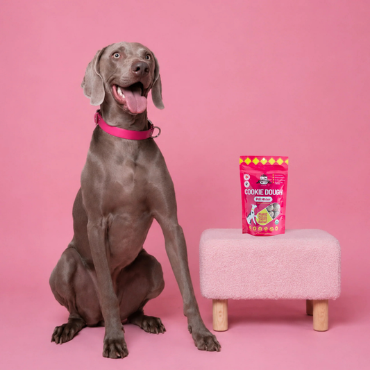 Pill Hider Treats | Cookie Dough