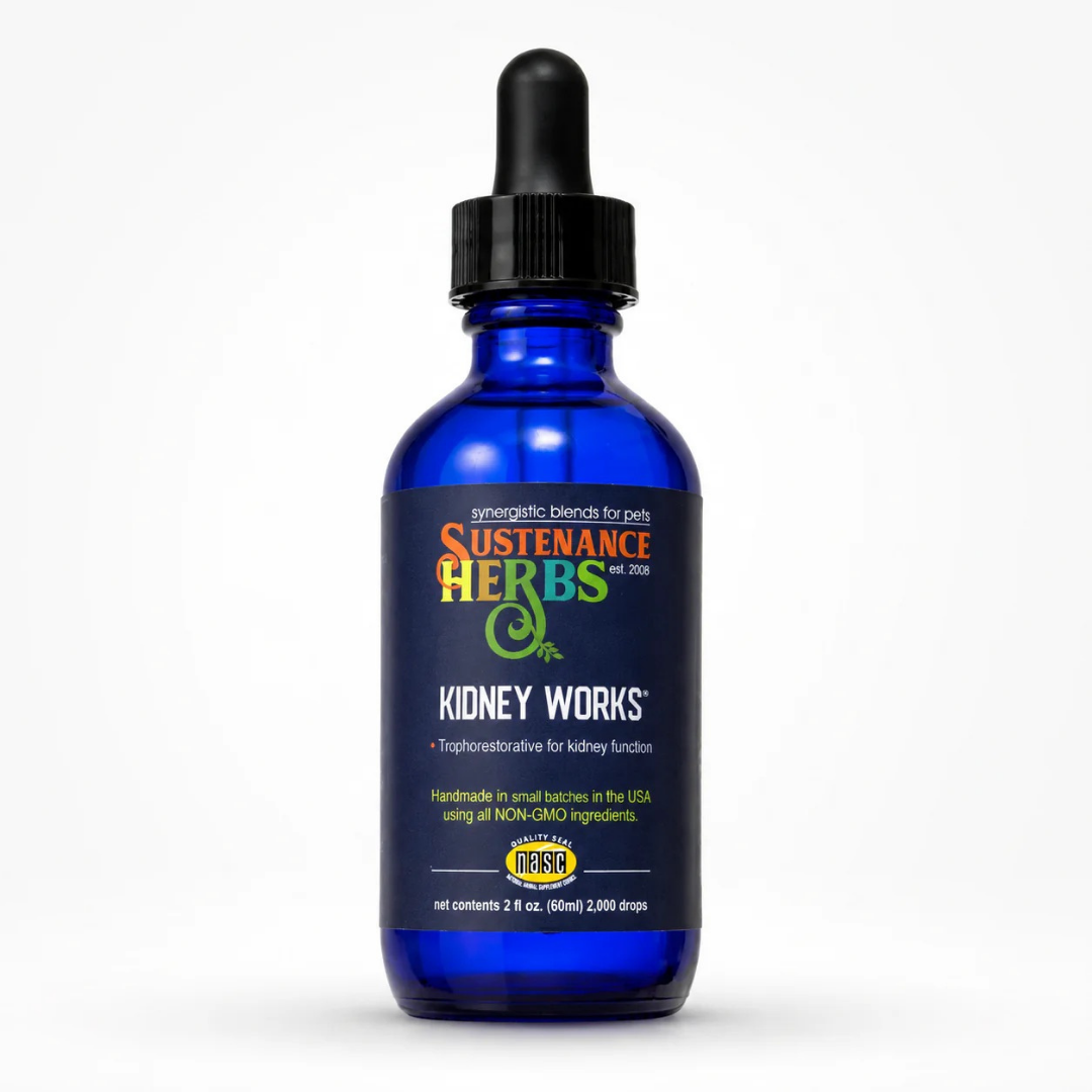 Sustenance Herbs Kidney Works | Organic Herbal Kidney Support Drops for Senior + Aging Dogs
