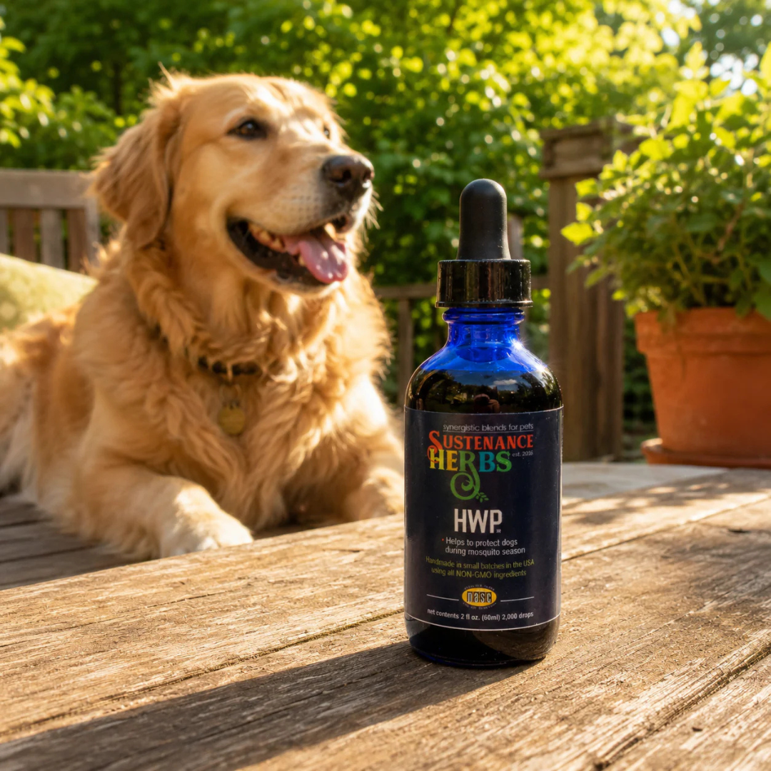 Sustenance Herbs HWP Tincture | Seasonal Herbal Heartworm Support