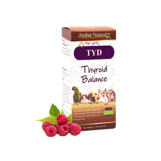 Thyroid Balance