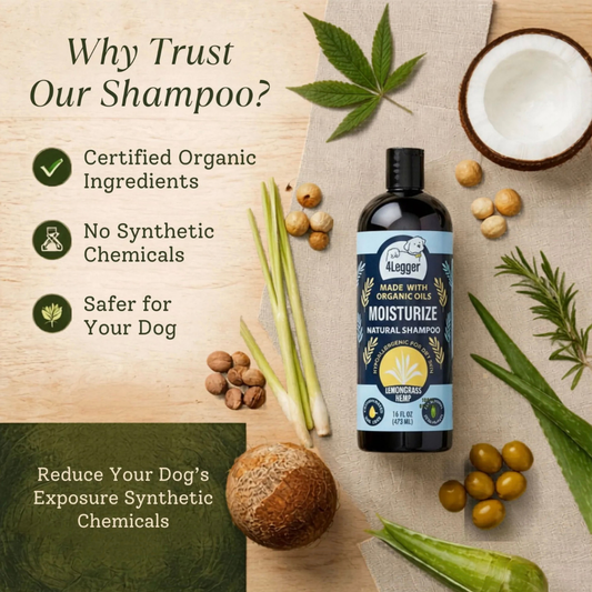 Organic Hemp Shampoo | Dry + Sensitive Skin