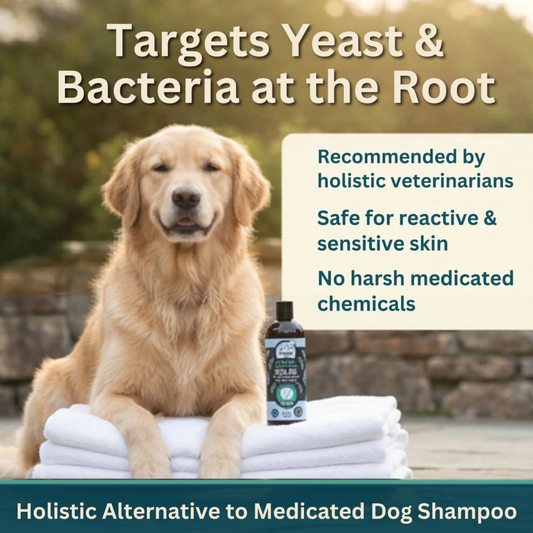 4-Legger Organic Cooling Shampoo | Natural Yeast + Antifungal Support