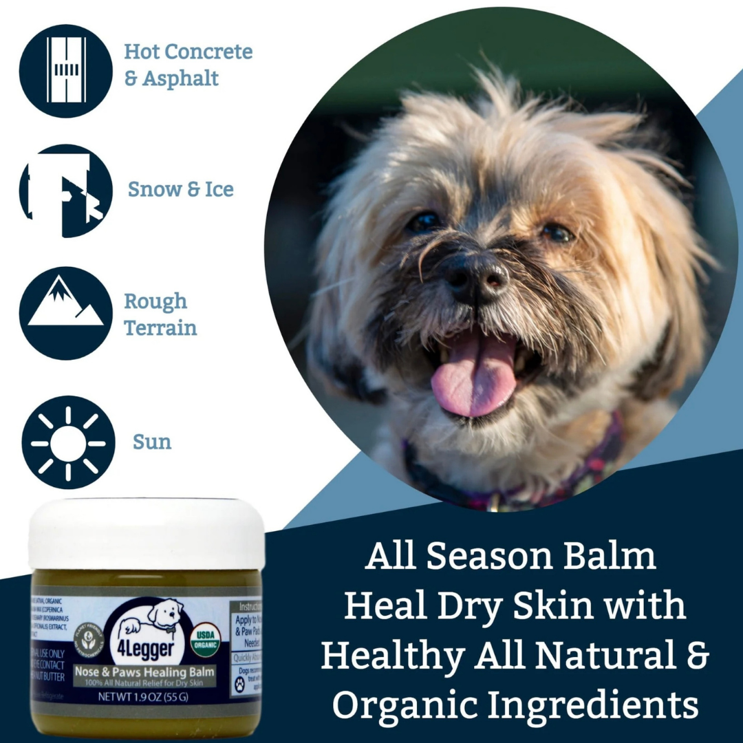 4-Legger Organic Healing Balm | Nose & Paw Pads