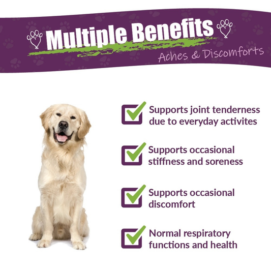 AdiZone | Natural Herbal Aches & Discomfort Support for Active & Aging Dogs