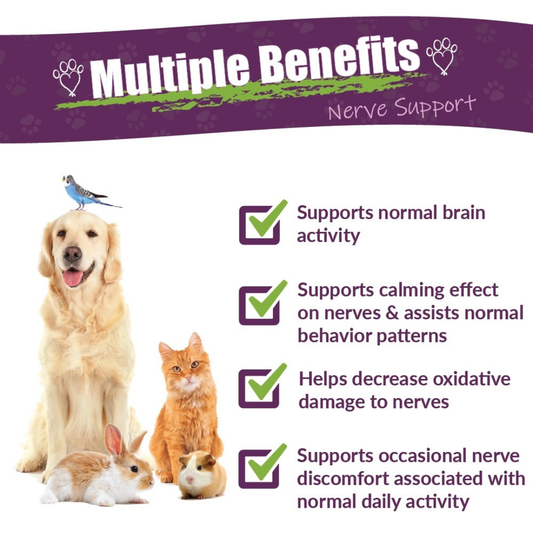 Amber Naturalz DermaNERV | Herbal Nerve Support