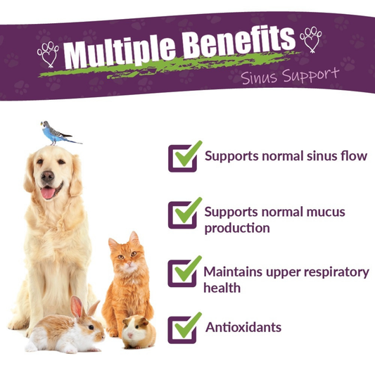 Amber Naturalz Sinus Support | Natural Sinus Relief