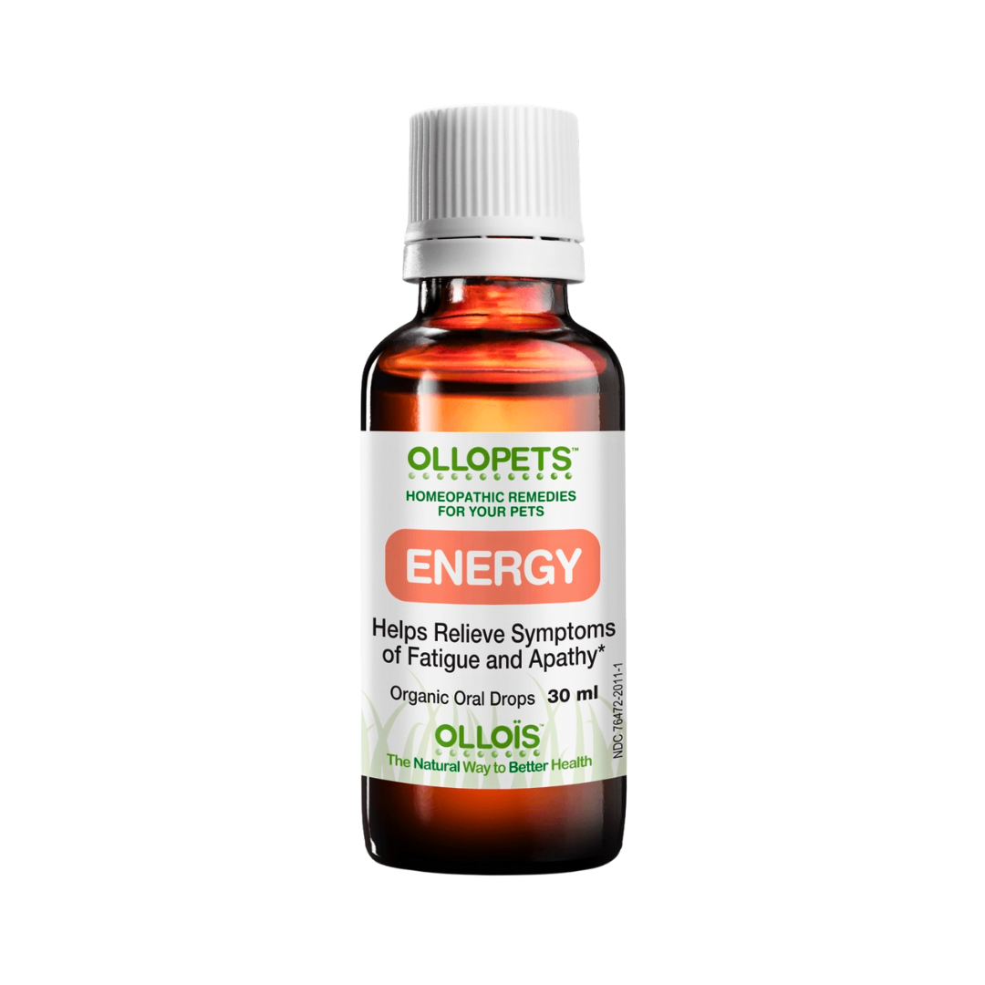 Ollopets Energy | Homeopathic Stamina + Recovery Support