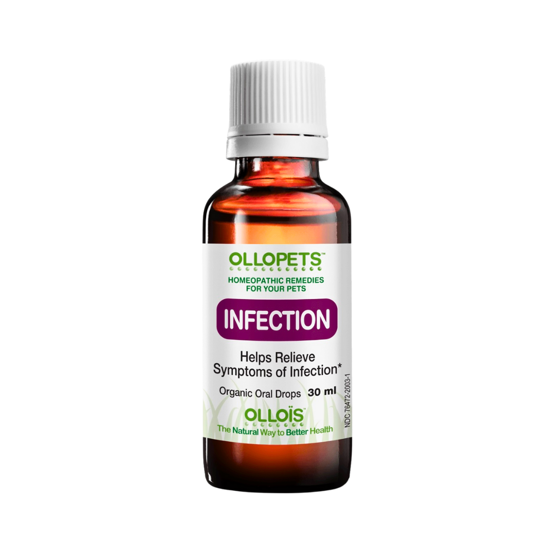 Ollopets Infection | Homeopathic Immune Support