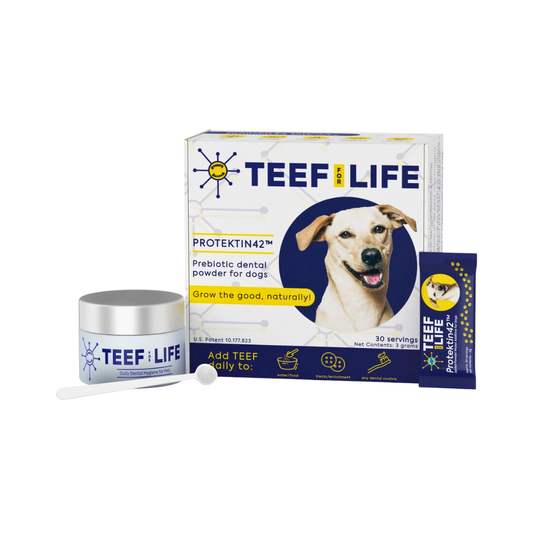 TEEF Protektin42 Dental Powder | Natural Prebiotic Dental Water Additive