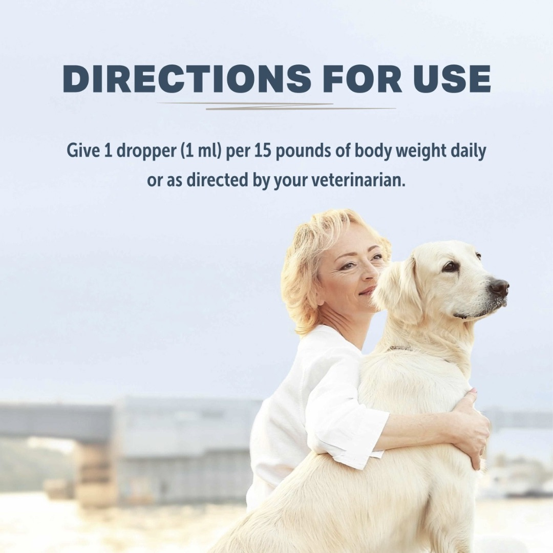 Four Leaf Rover Safe-Sea | Green Lipped Mussel Oil for Joint + Skin Health