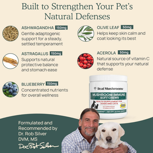 Immune Chews