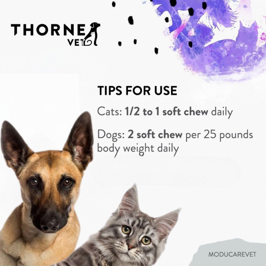 ThorneVet Moducare Chews | Immune + Allergy Support