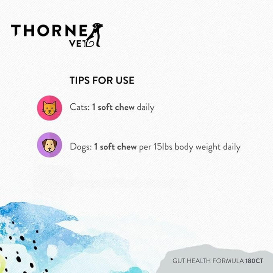 ThorneVet Gut Health | Comprehensive Digestive Support
