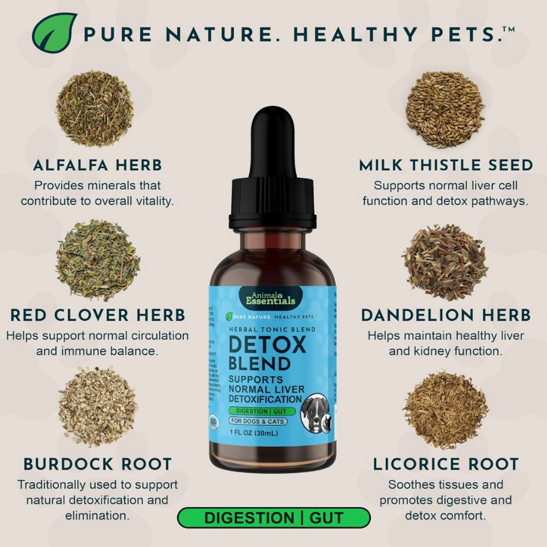 Animal Essentials Detox Blend | Herbal Liver + Kidney Cleanse