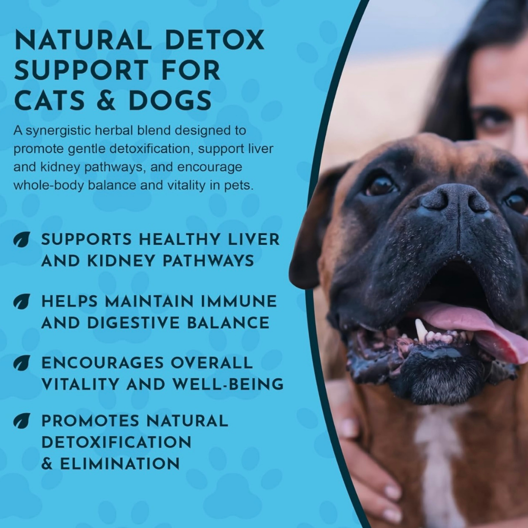 Animal Essentials Detox Blend | Herbal Liver + Kidney Cleanse