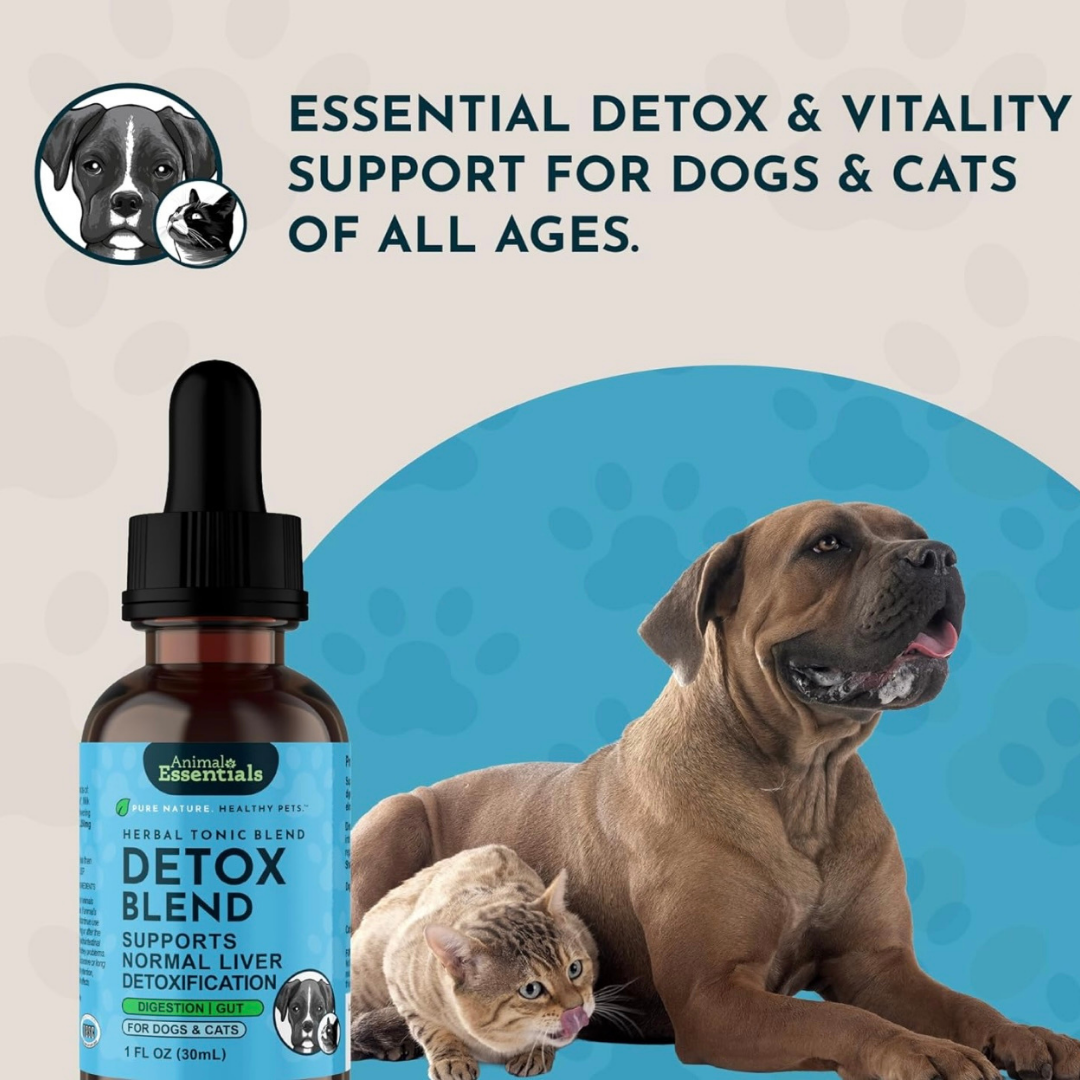 Animal Essentials Detox Blend | Herbal Liver + Kidney Cleanse