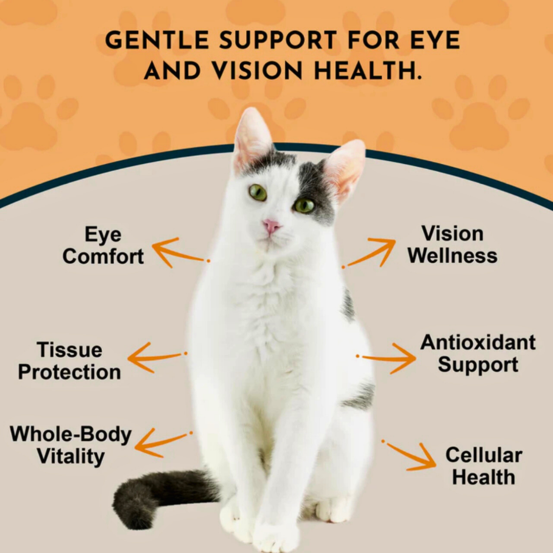Animal Essentials Eye Defense | Natural Vision + Eye Health Support