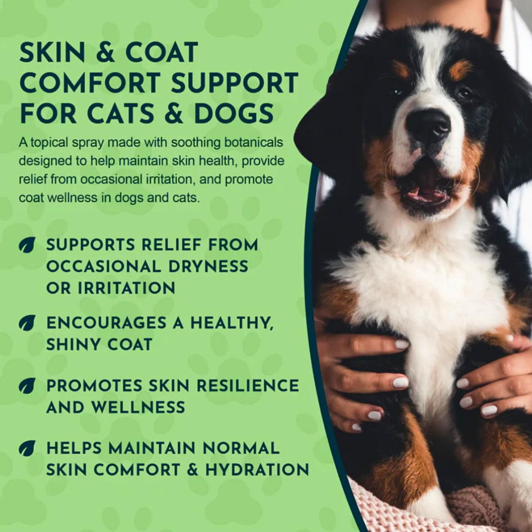 Animal Essentials Fidoderm Herbal Spray | Soothes + Supports Skin Healing