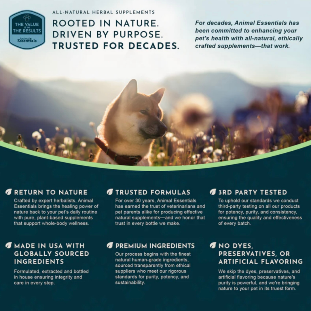 Animal Essentials Fidoderm Herbal Spray | Soothes + Supports Skin Healing