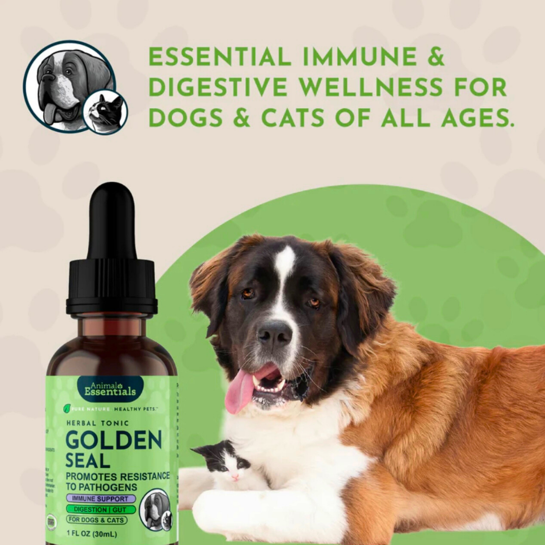Animal Essentials Goldenseal | Promotes Resistance to Pathogens