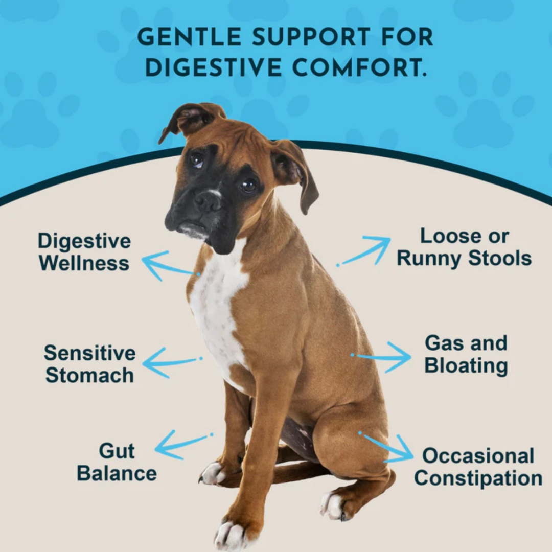 Animal Essentials Healthy Gut | Digestive Health + Microbiome Support