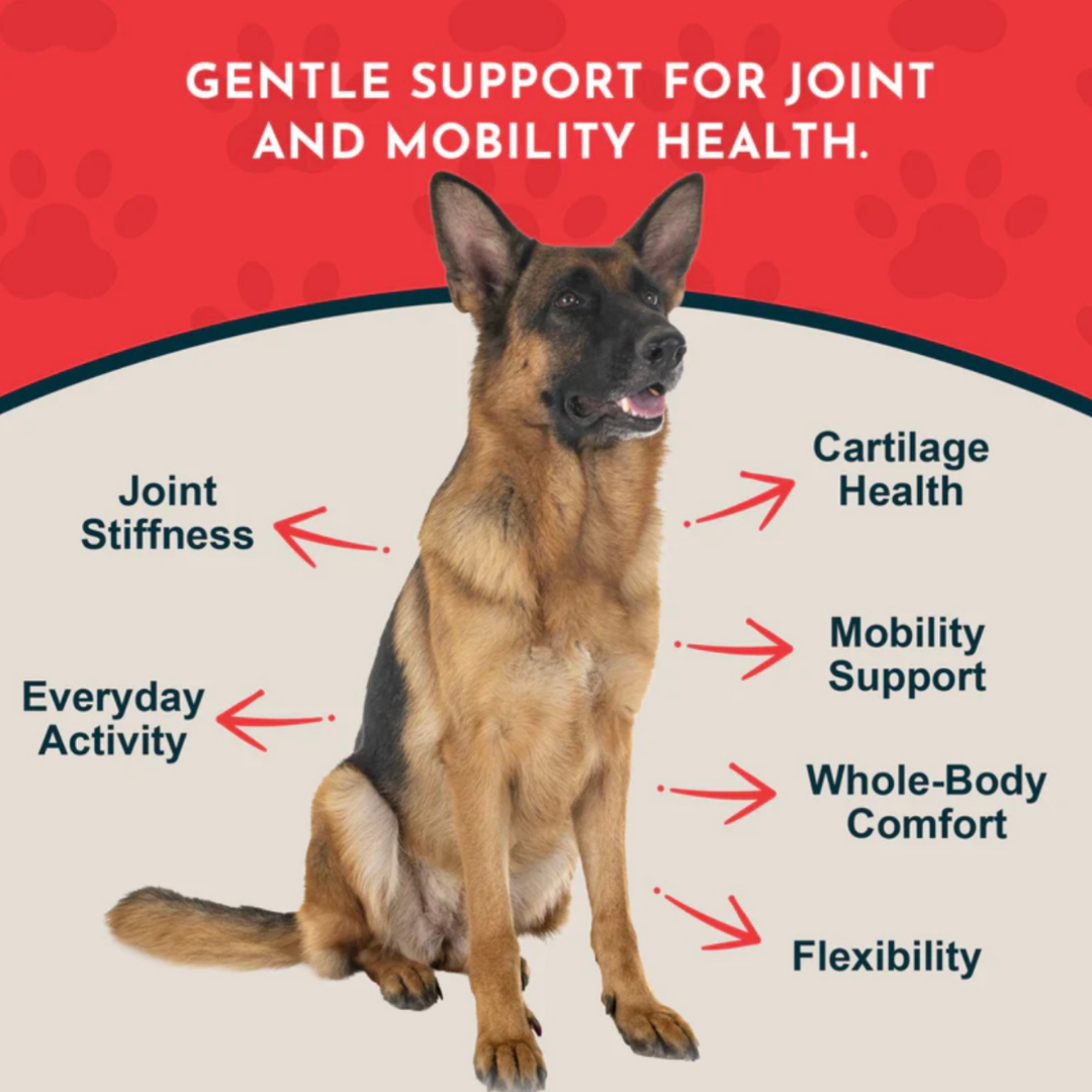Animal Essentials Joint Support | Natural Mobility + Inflammation Relief