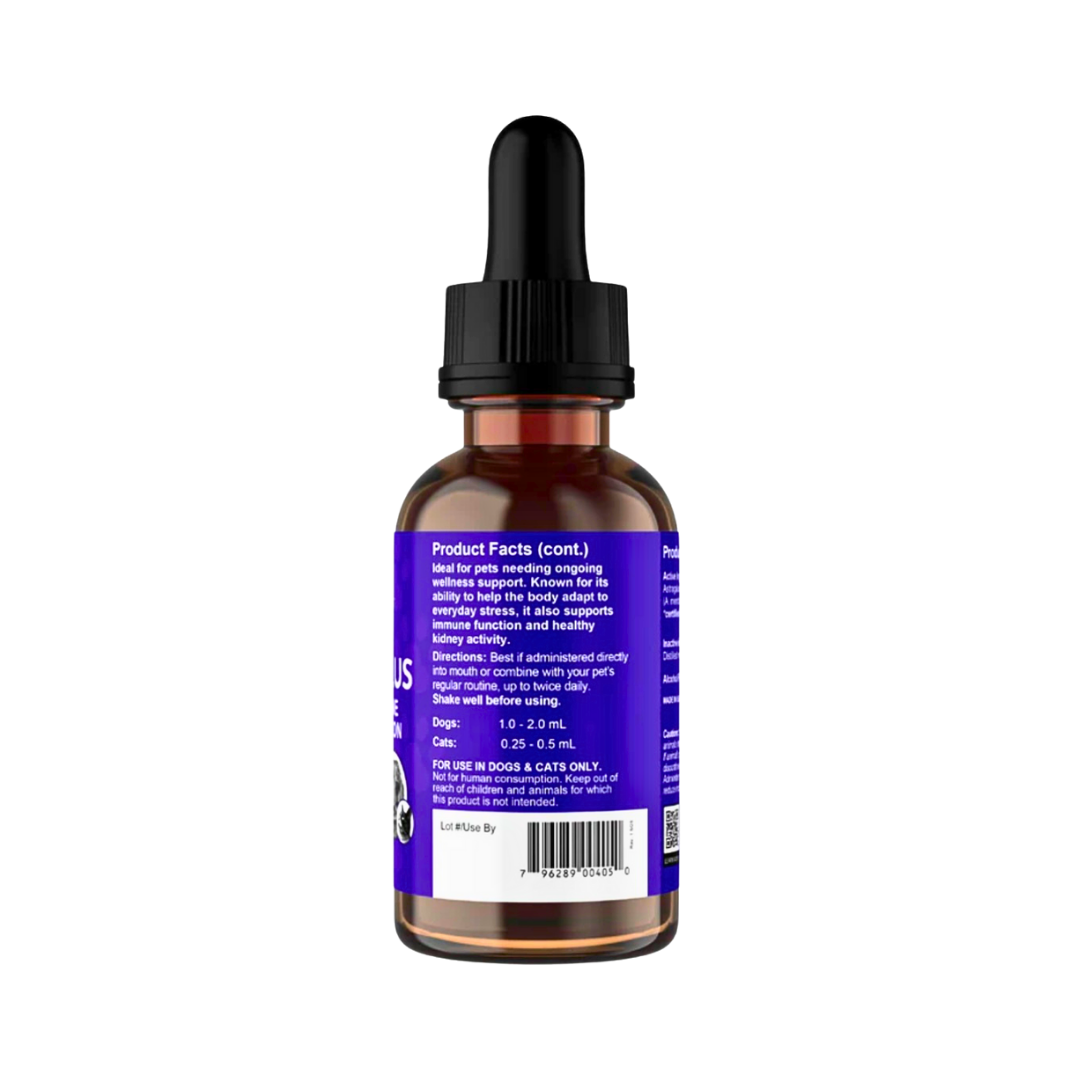 Animal Essentials Astragalus | Immune + Kidney Support