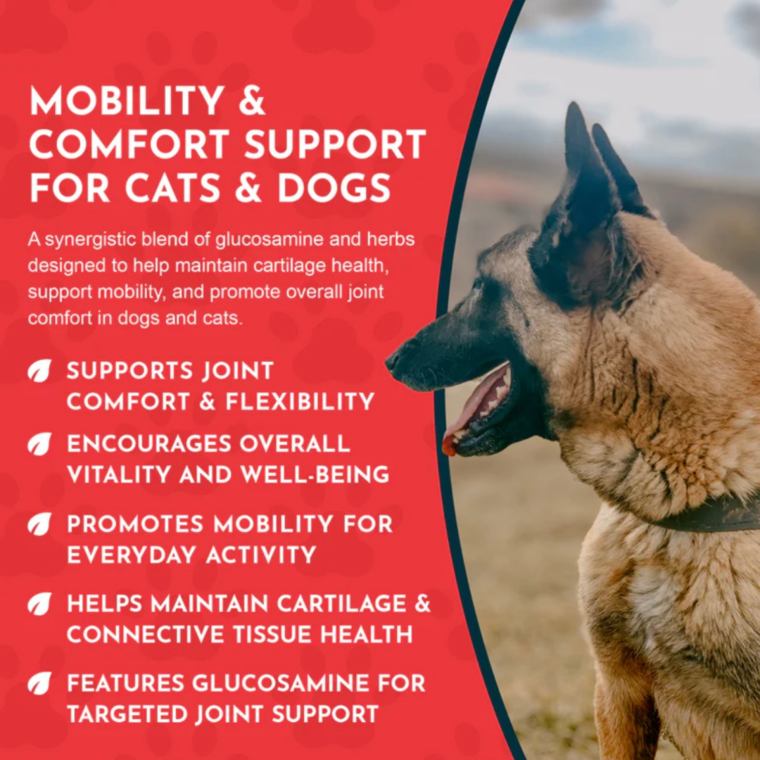 Animal Essentials Joint Support | Natural Mobility + Inflammation Relief