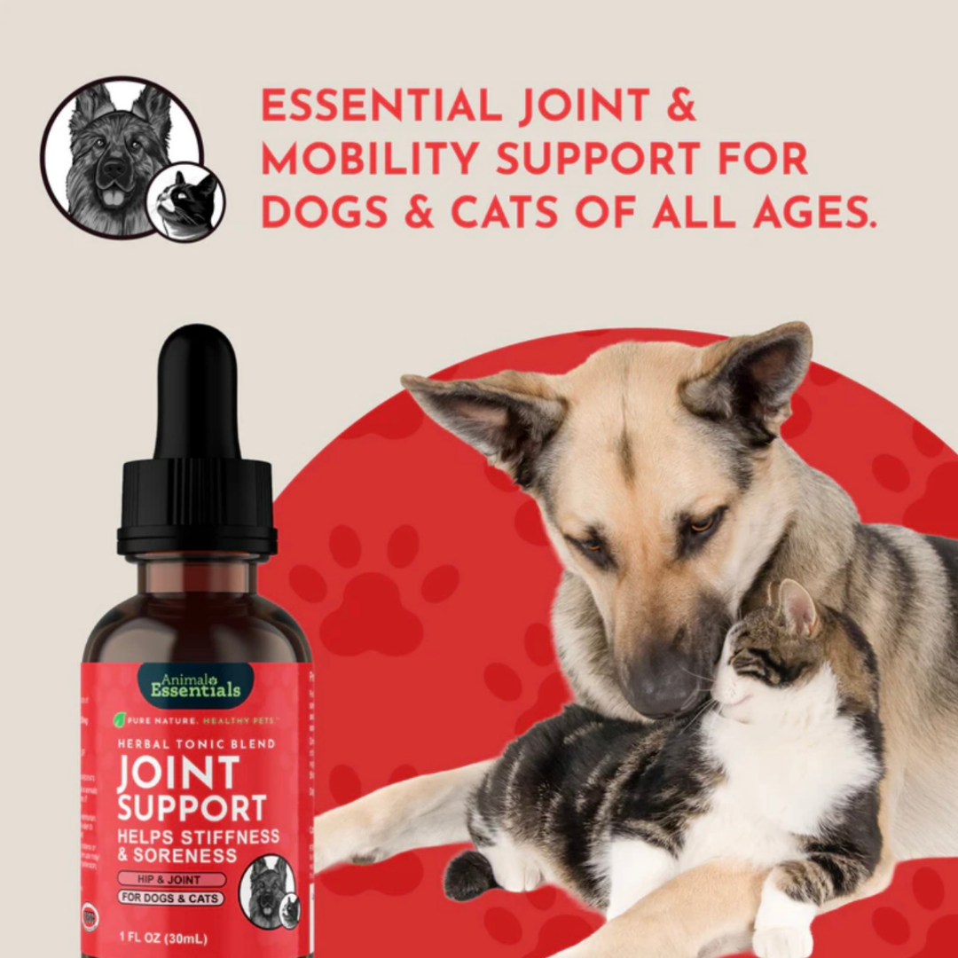 Animal Essentials Joint Support | Natural Mobility + Inflammation Relief