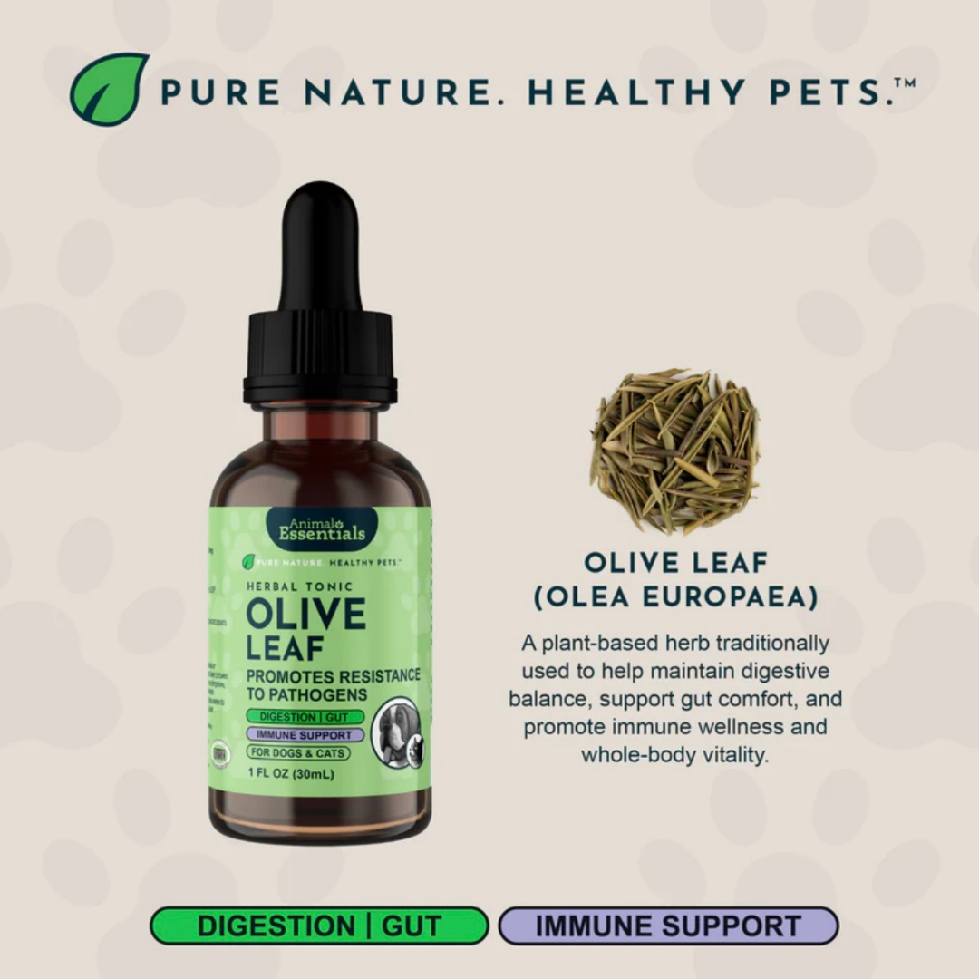 Animal Essentials Olive Leaf | Immune Support + Antimicrobial Defense