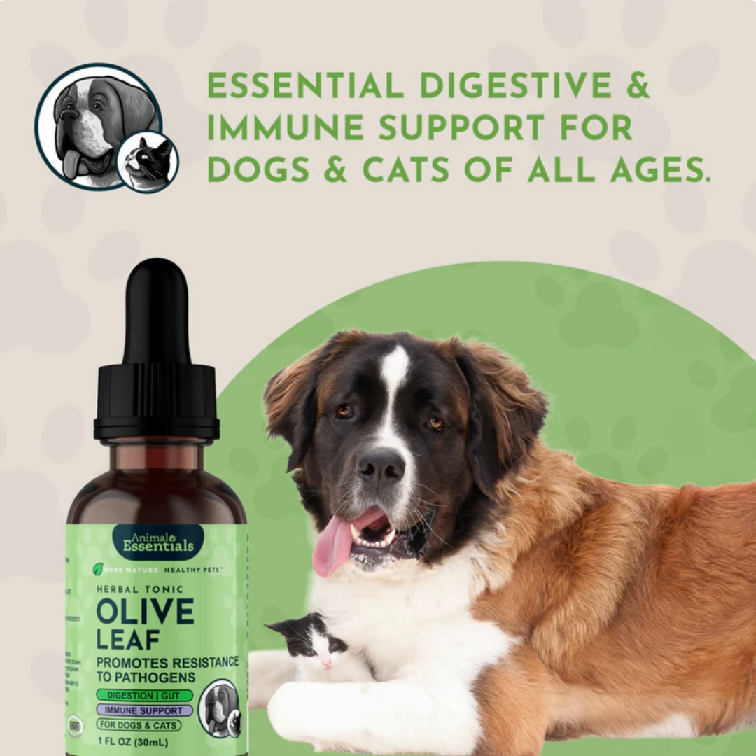 Animal Essentials Olive Leaf | Immune Support + Antimicrobial Defense