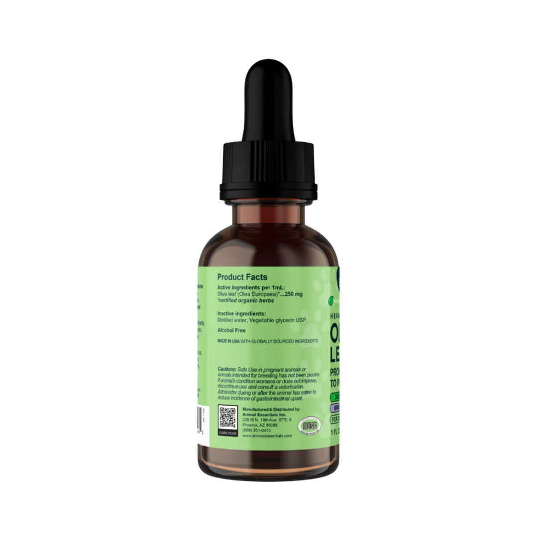 Animal Essentials Olive Leaf | Immune Support + Antimicrobial Defense