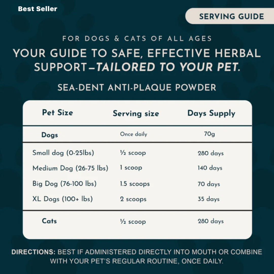 Animal Essentials SeaDent | Plaque + Tartar Control