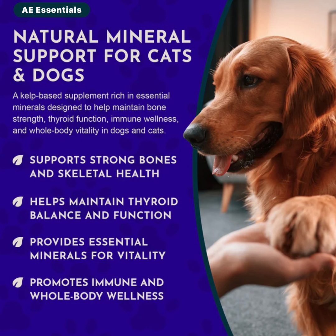 Animal Essentials Sea-Vital | Organic Ocean Kelp + Trace Minerals