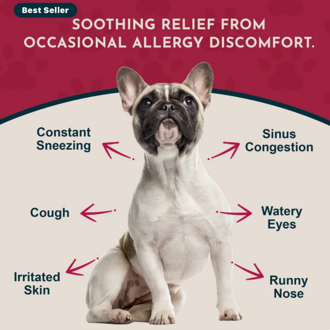 Animal Essentials Seasonal Allergy | Natural Allergy Relief