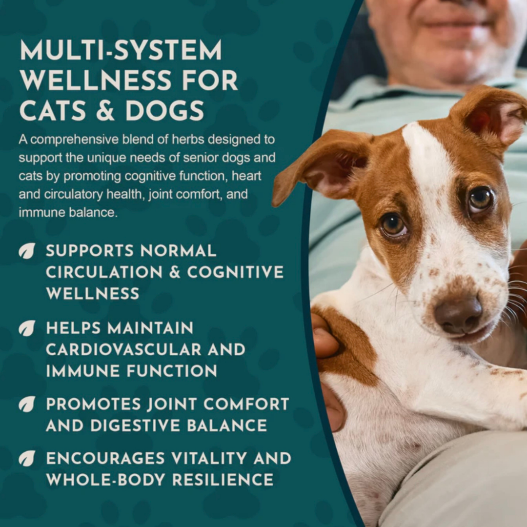 Animal Essentials Senior Support | Natural Aging Support