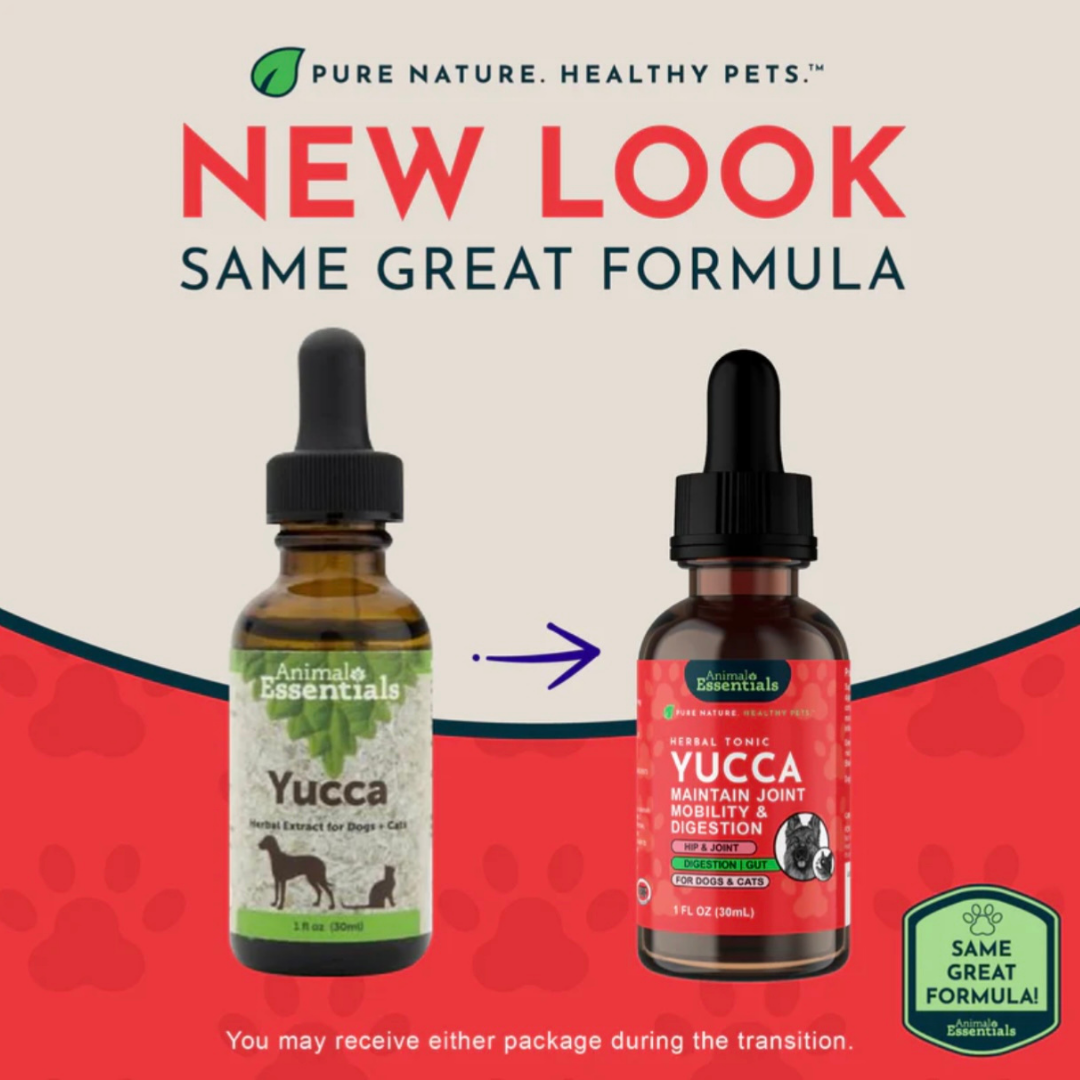 Animal Essentials Yucca | Maintain Joint Mobility + Digestion
