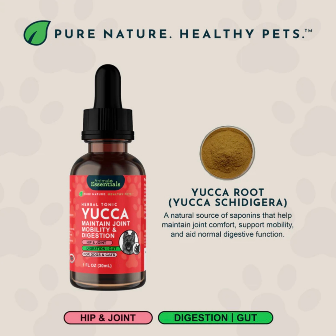 Animal Essentials Yucca | Maintain Joint Mobility + Digestion