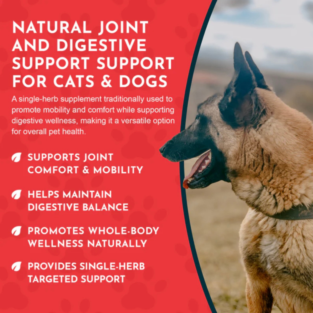 Animal Essentials Yucca | Maintain Joint Mobility + Digestion