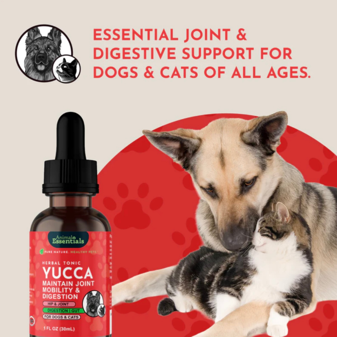 Animal Essentials Yucca | Maintain Joint Mobility + Digestion