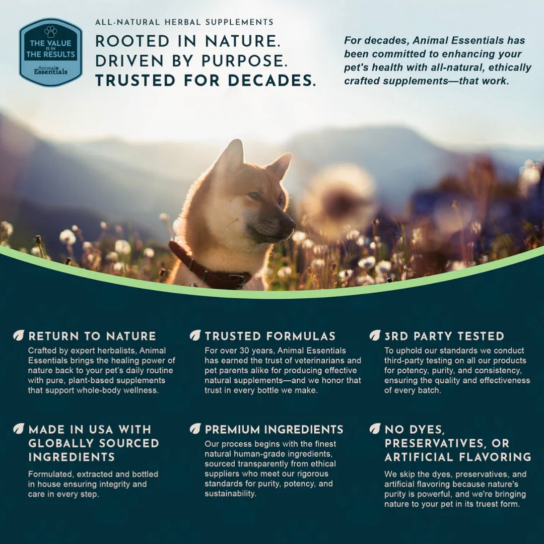 Animal Essentials Yucca | Maintain Joint Mobility + Digestion