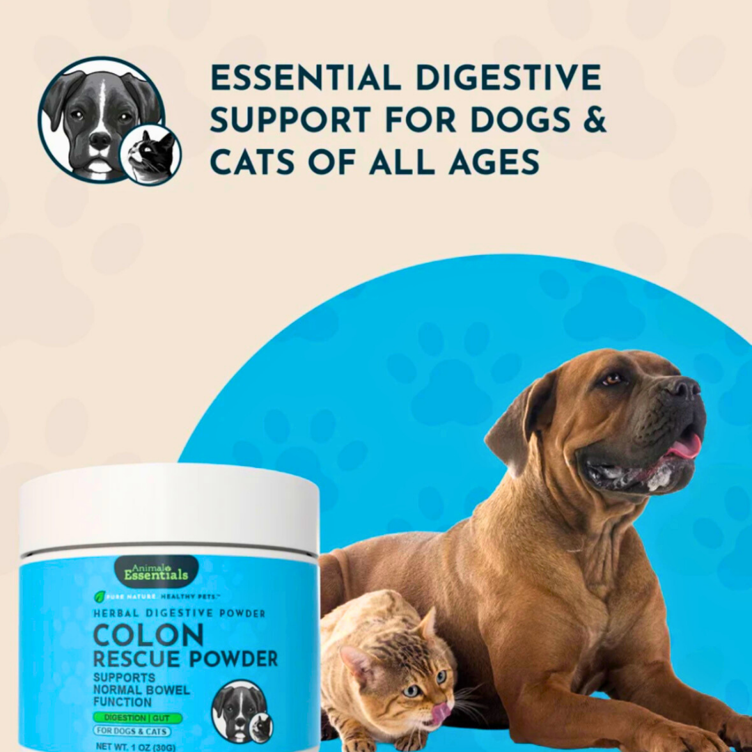Animal Essentials Colon Rescue Powder | Soothing Digestive Support