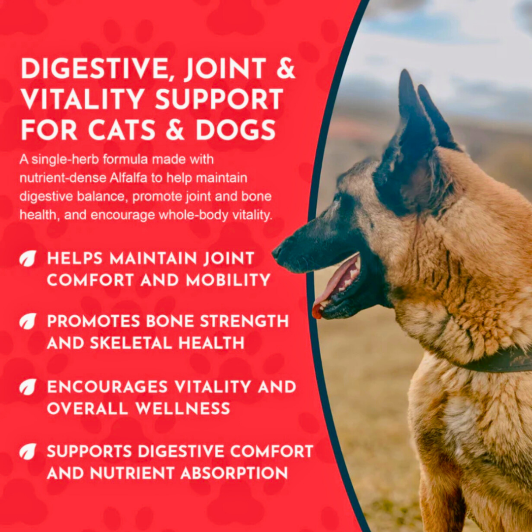 Animal Essentials Alfalfa | Gentle Joint + Detox Support