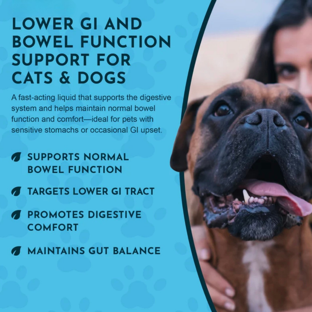 Animal Essentials Colon Rescue | Soothing Digestive Support
