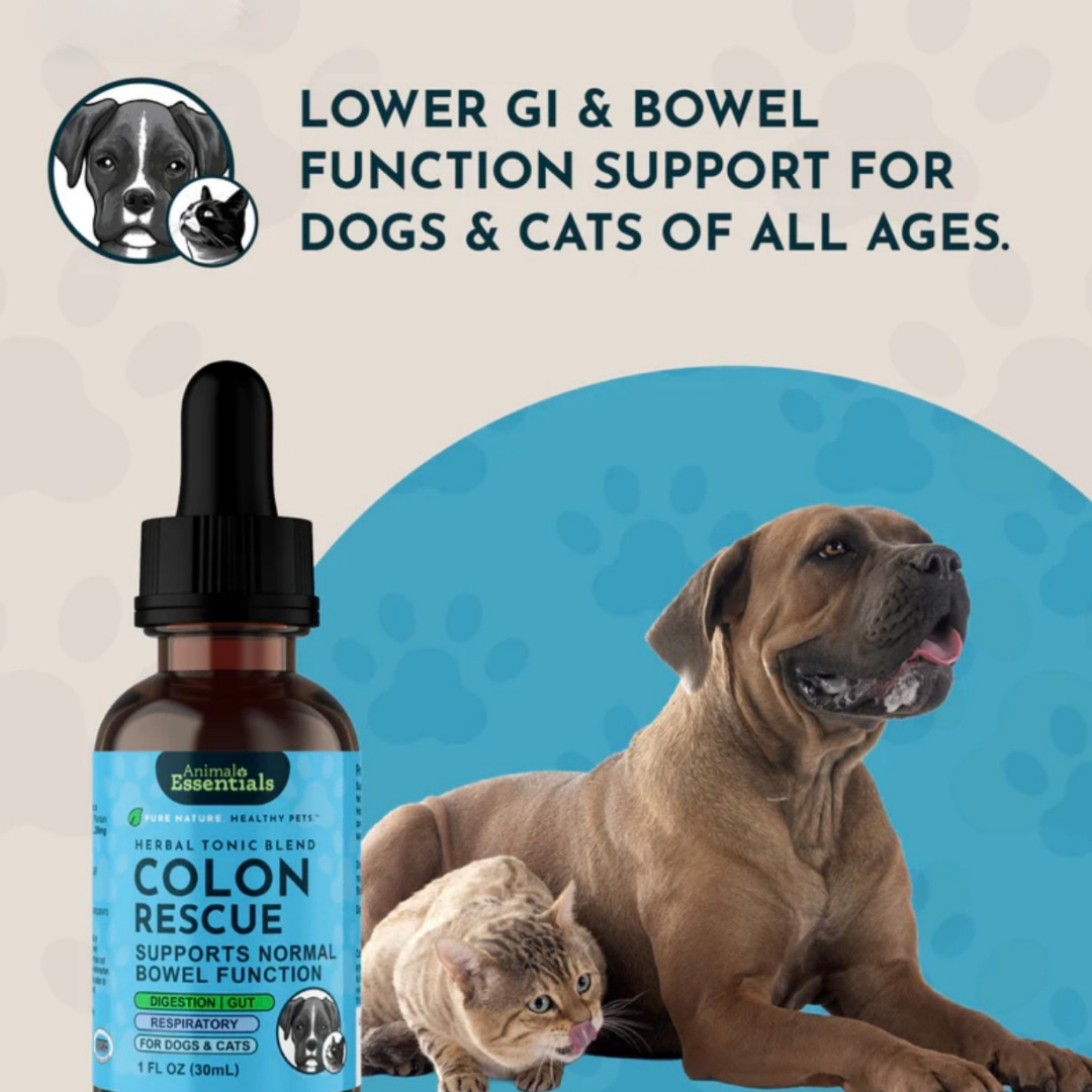 Animal Essentials Colon Rescue | Soothing Digestive Support