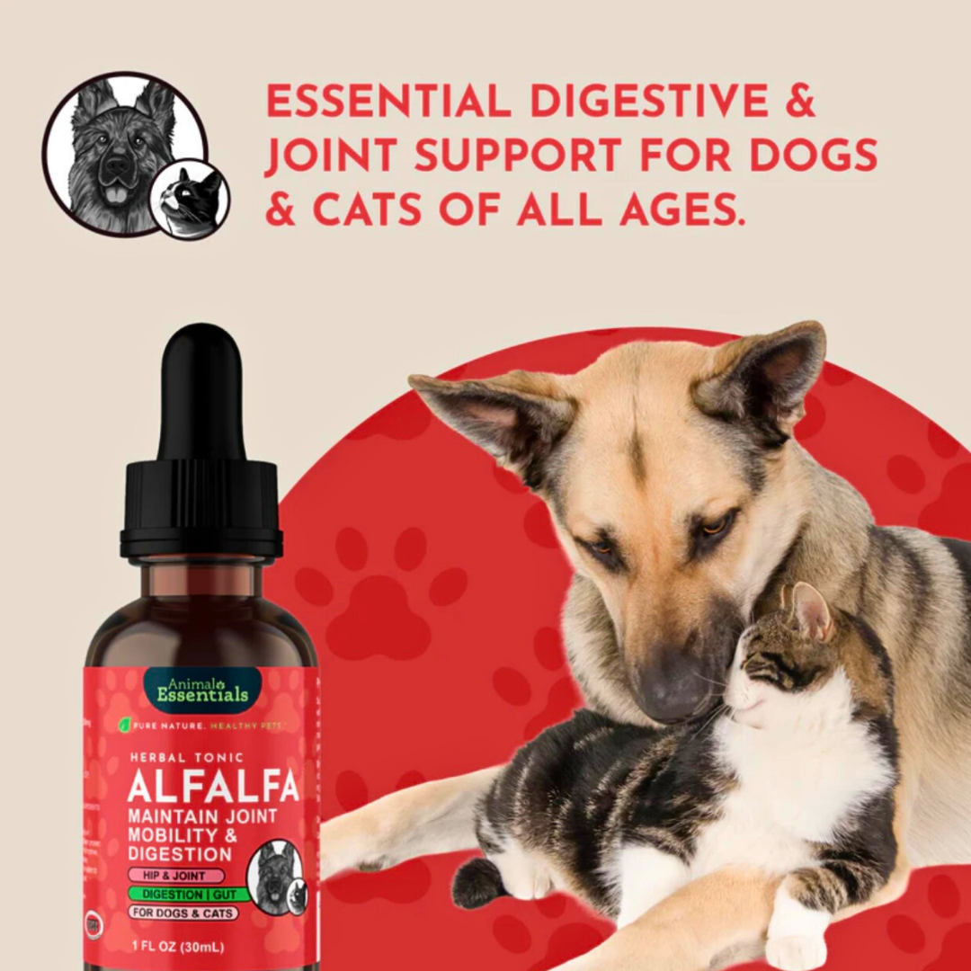 Animal Essentials Alfalfa | Gentle Joint + Detox Support